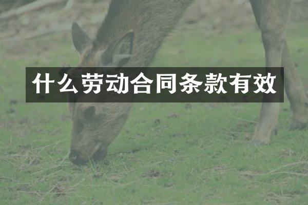 什么劳动合同条款有效