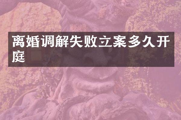 离婚调解失败立案多久开庭