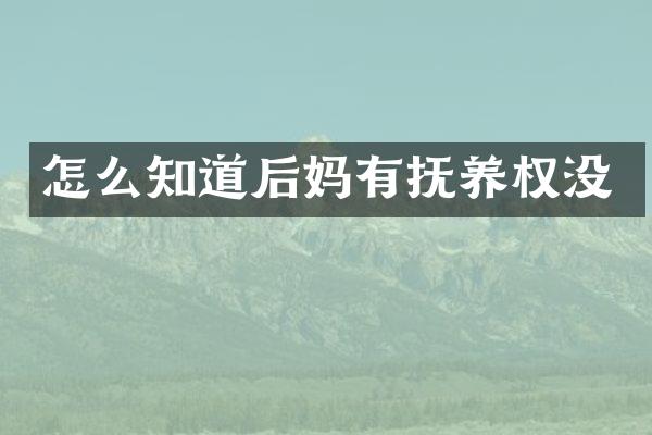 怎么知道有抚养权没