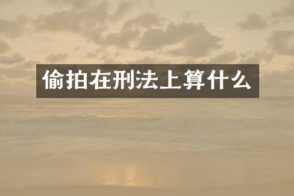 在刑法上算什么