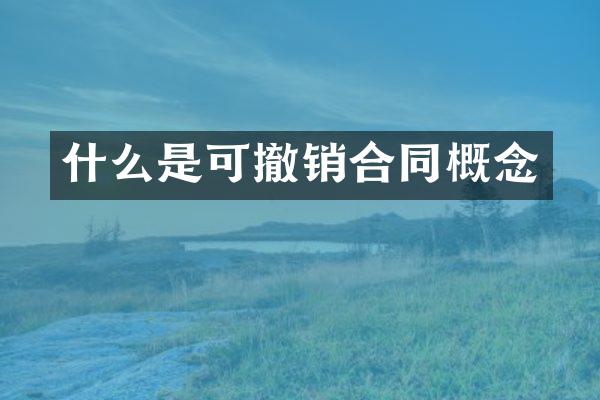 什么是可撤销合同概念