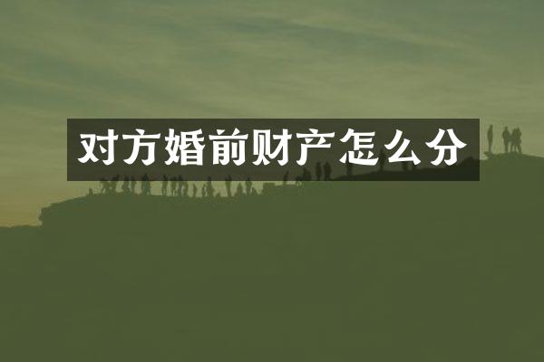 对方婚前财产怎么分