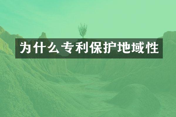 为什么专利保护地域性