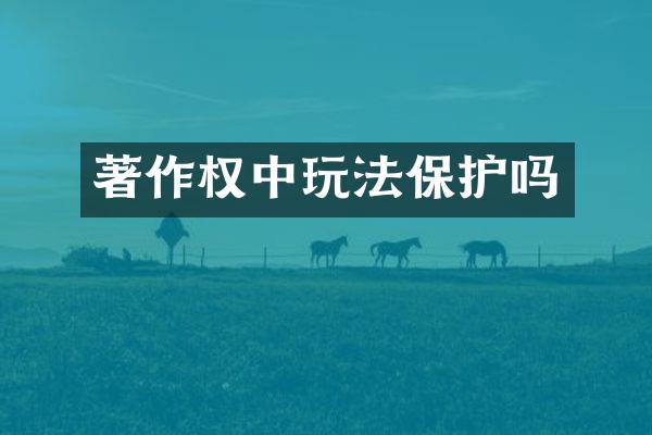 著作权中玩法保护吗