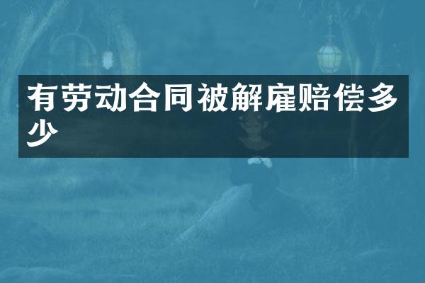 有劳动合同被解雇赔偿多少