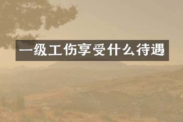 一级工伤享受什么待遇