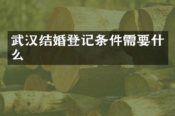 武汉结婚登记条件需要什么