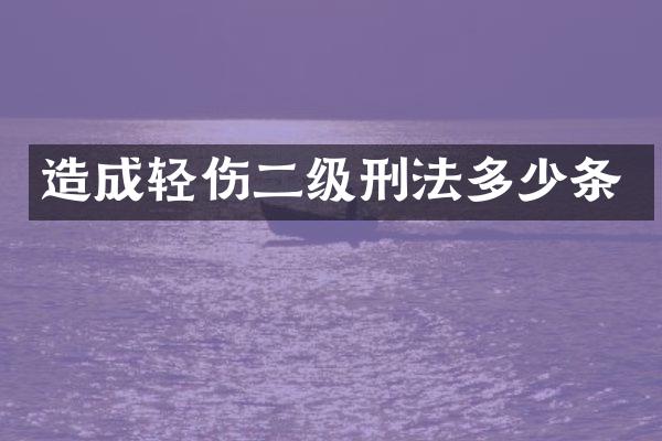 造成轻伤二级刑法多少条
