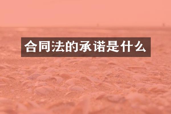 合同法的承诺是什么