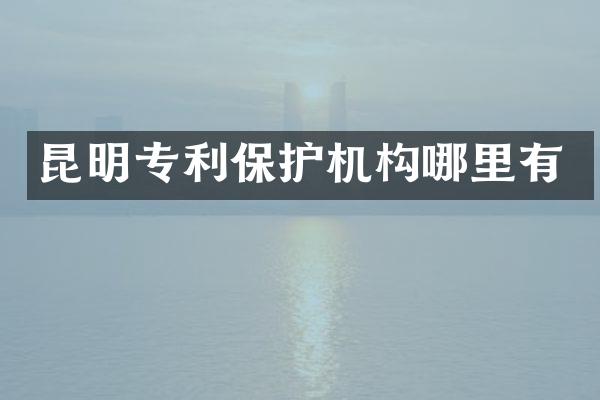 昆明专利保护机构哪里有