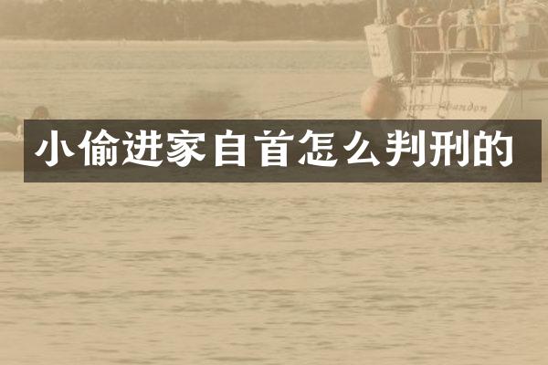 小偷进家自首怎么判刑的