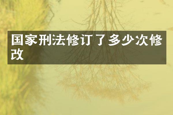 国家刑法修订了多少次修改