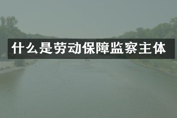 什么是劳动保障监察主体