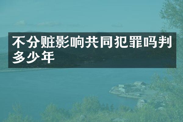 不分赃影响共同犯罪吗判多少年