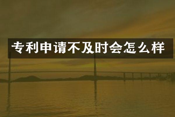 专利申请不及时会怎么样