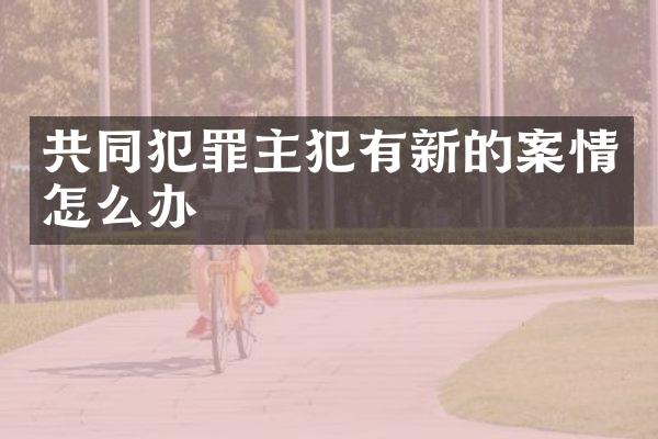 共同犯罪有新的案情怎么办