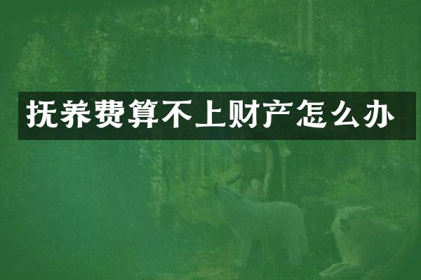 抚养费算不上财产怎么办