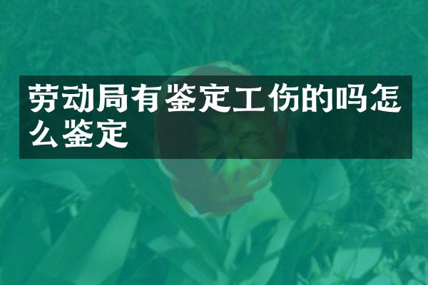 劳动局有鉴定工伤的吗怎么鉴定
