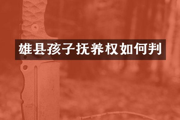 雄县孩子抚养权如何判