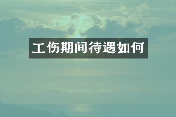 工伤期间待遇如何