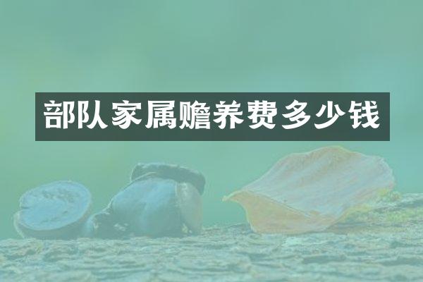 部队家属赡养费多少钱