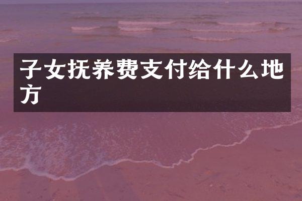 子女抚养费支付给什么地方
