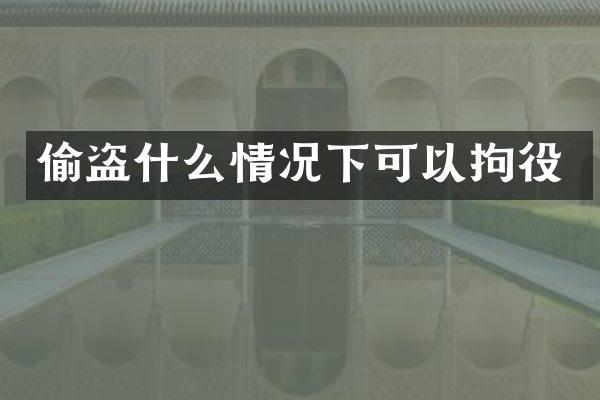 偷盗什么情况下可以拘役
