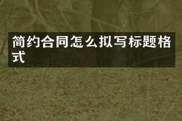 简约合同怎么拟写标题格式