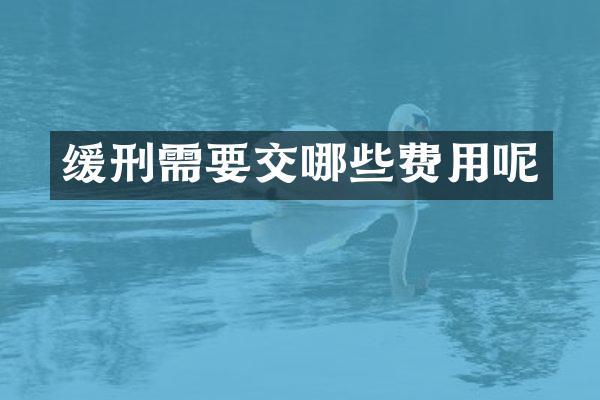 缓刑需要交哪些费用呢