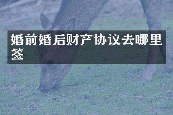 婚前婚后财产协议去哪里签