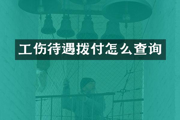 工伤待遇拨付怎么查询