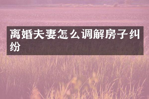 离婚夫妻怎么调解房子纠纷