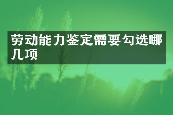 劳动能力鉴定需要勾选哪几项