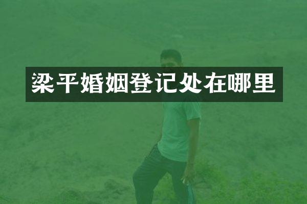梁平婚姻登记处在哪里