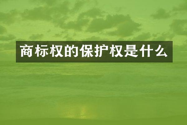 商标权的保护权是什么