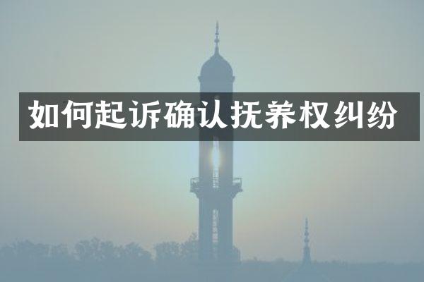 如何起诉确认抚养权纠纷