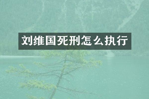 刘维国死刑怎么执行
