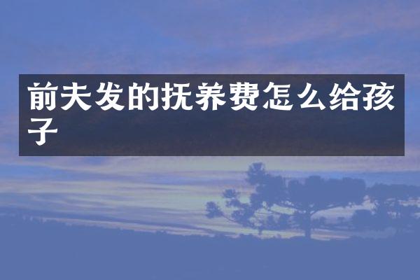 前夫发的抚养费怎么给孩子