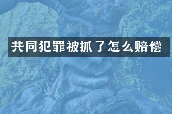 共同犯罪被抓了怎么赔偿