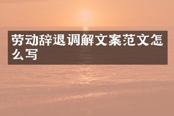 劳动辞退调解文案范文怎么写