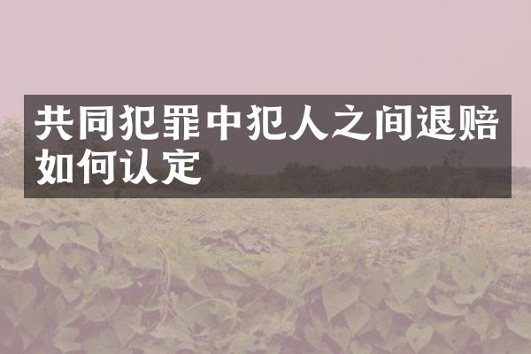 共同犯罪中犯人之间退赔如何认定