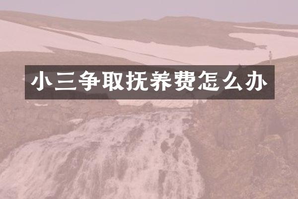 争取抚养费怎么办
