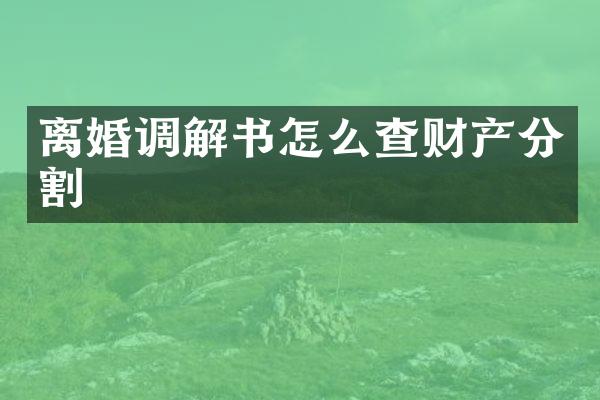 离婚调解书怎么查财产分割