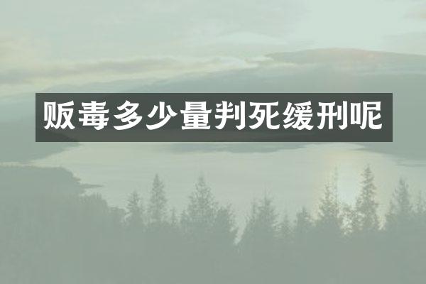 多少量判死缓刑呢