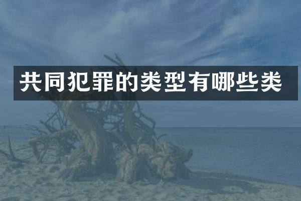 共同犯罪的类型有哪些类