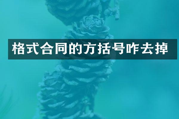 格式合同的方括号咋去掉
