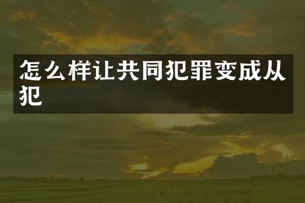 怎么样让共同犯罪变成从犯