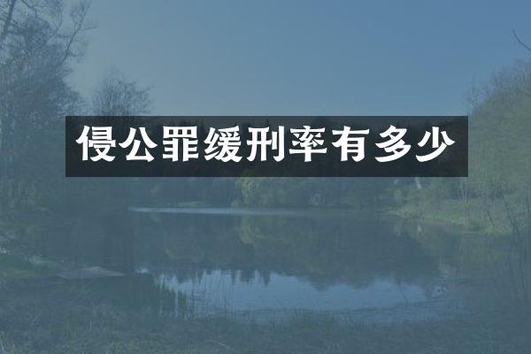 侵公罪缓刑率有多少