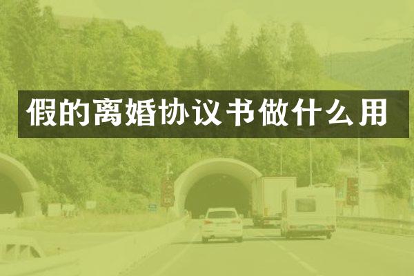 假的离婚协议书做什么用
