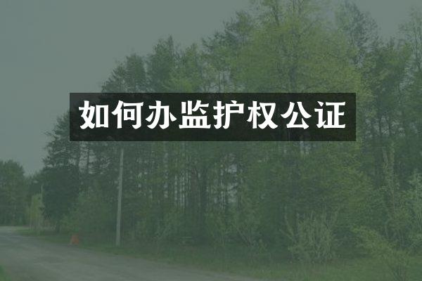 如何办监护权公证